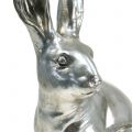 Floristik24 Deco Bunny Silver H36cm