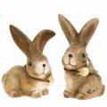 Floristik24 Figurki dekoracyjne króliki z piórkiem i drewnianym koralikiem brązowe różne 7cm x 4,9cm H 10cm 2szt.