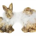 Floristik24 Złoty królik siedzący terakota w kolorze złotym z piórami W10cm 4szt