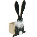 Floristik24 Bunny Planter Boa z piór Czarny, biały w kropki drewniany zając wielkanocny