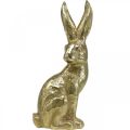 Floristik24 Ozdobny króliczek duży Zajączek siedzący złoty 22×17×51,5cm