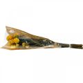 Floristik24 Kwiaty suszone truskawkowe żółte, pęczek dekoracyjny 75g