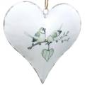 Floristik24 Dekohänger serce z motywem ptaków, dekoracja serca na Walentynki, metalowa zawieszka w kształcie serca 4szt.