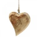 Floristik24 Drewniane serce serduszka z drewna zawieszka deco drewno mango wys.14cm 3szt
