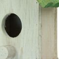 Floristik24 Wisząca dekoracja domek dla ptaków drewno zielony biały 14,5×7,5×17,5cm