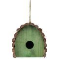 Floristik24 Wisząca dekoracja dla ptaków z okrągłym dachem, drewno, zielono-brązowy, 16,5×10×17cm