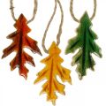 Floristik24 Dekoracyjne liście drewno do zawieszenia kolorowej jesiennej dekoracji 6,5×4cm 12szt