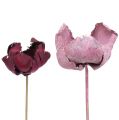 Floristik24 Drewniany Kwiat, Palm Cup Mix Różowo-Wrzosowy 25szt