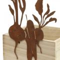 Floristik24 Pudełko na rośliny z drewnem z dekoracją rdzy pojemnik na warzywa 17×17×12cm