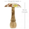 Drewniane grzyby dekoracyjne jesienne liście biała, kolorowa jesienna dekoracja Ø13cm W19cm | Floristik24.pl