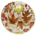 Floristik24 Drewniane grzyby dekoracyjne jesienne liście biała, kolorowa jesienna dekoracja Ø13cm W19cm