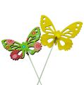 Floristik24 Drewniane motyle na patyku w różnych kolorach. 9 cm