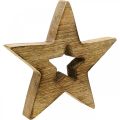 Floristik24 Drewniana gwiazda podpalana drewniana dekoracja Gwiazda świąteczna stojąca 15cm