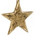 Floristik24 Gwiazda do zawieszenia, drewniana dekoracja z efektem złota, Advent 14cm × 14cm