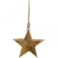 Floristik24 Dekoracyjna gwiazda, drewniana zawieszka, ozdoba świąteczna 14cm × 14cm