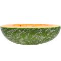 Floristik24 Melon spadziowy pół 22,5 cm jasnopomarańczowy