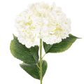 Floristik24 Sztuczna hortensja na długiej łodydze, sztuczny kwiat, 60 cm