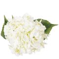 Sztuczna hortensja na długiej łodydze, sztuczny kwiat, 60 cm | Floristik24.pl