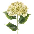 Floristik24 Sztuczny kwiat hortensji z długą łodygą i liśćmi, 60 cm