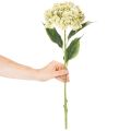 Sztuczny kwiat hortensji z długą łodygą i liśćmi, 60 cm | Floristik24.pl