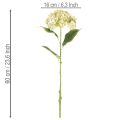 Sztuczny kwiat hortensji z długą łodygą i liśćmi, 60 cm | Floristik24.pl