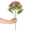 Sztuczna hortensja dekoracyjna z łodygą, 46 cm | Floristik24.pl