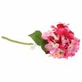 Floristik24 Kwiat sztuczny Hortensja różowa 36cm
