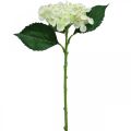 Floristik24 Hortensja, kwiat jedwabiu, sztuczny kwiat do dekoracji stołu biały, zielony L44cm