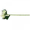 Floristik24 Hortensja, kwiat jedwabiu, sztuczny kwiat do dekoracji stołu biały, zielony L44cm