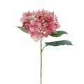Floristik24 Hortensja sztuczny różowo-zielony kwiat ogrodowy z pąkami 52cm