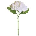 Floristik24 Hortensja Sztuczne Białe Kwiaty Prawdziwe W Dotyku 33cm