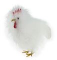 Floristik24 Zestaw Deco Para kurczaków 13cm i 15cm Biały