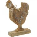 Floristik24 Drewniany kurczak, dekoracja wiosenna, figura wielkanocna naturalna, myta na biało wys.26cm