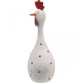 Floristik24 Ozdobna figurka wielkanocna z kurczaka biała w kropki Ø7cm W20cm