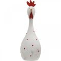 Floristik24 Ozdobna figurka wielkanocna z kurczaka biała w kropki Ø7cm W20cm