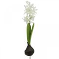Floristik24 Sztuczny hiacynt z cebulką sztuczny kwiat biały do przyklejenia 29cm