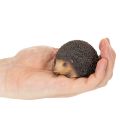 Jeż – figurka dekoracyjna, mała dekoracja stołu na jesień, 8 cm | Floristik24.pl
