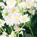 Floristik24 Rumianek Sztuczne Kwiaty Łąkowe Białe 58cm 4szt