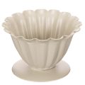 Floristik24 Misa, kielich, kielich kwiatowy, dekoracja kremowa, 9 cm