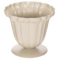 Floristik24 Miska dekoracyjna, trofeum kremowe, mała, 10 cm