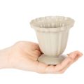 Miska dekoracyjna, trofeum kremowe, mała, 10 cm | Floristik24.pl