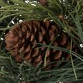 Wieniec z gałązek sosnowych i szyszek 60 cm | Floristik24.pl