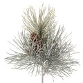 Floristik24 Sztuczna gałązka sosnowa z szyszkami, zimowa, 40cm