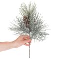 Sztuczna gałązka sosnowa z szyszkami, zimowa, 40cm | Floristik24.pl