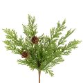 Floristik24 Sztuczna gałązka sosnowa z szyszkami, 28cm, 6 szt.