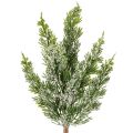 Floristik24 Sztucznie ośnieżona gałązka sosnowa do kompozycji kwiatowych i dekoracji adwentowych, 40 cm, 3 sztuki