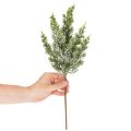 Sztucznie ośnieżona gałązka sosnowa do kompozycji kwiatowych i dekoracji adwentowych, 40 cm, 3 sztuki | Floristik24.pl