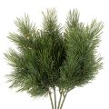 Floristik24 Sztuczna gałązka sosnowa do dekoracji zimowych, 40cm, 4 sztuki