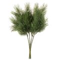 Sztuczna gałązka sosnowa do dekoracji zimowych, 40cm, 4 sztuki | Floristik24.pl