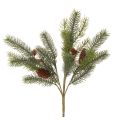 Floristik24 Sztuczna gałązka jodły z szyszką, 41 cm